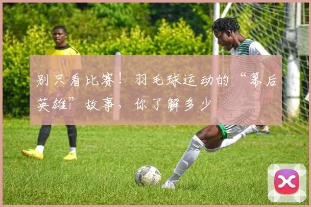 别只看比赛！羽毛球运动的“幕后英雄”故事，你了解多少