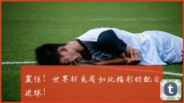 震惊！世界杯竟有如此精彩的配合进球！